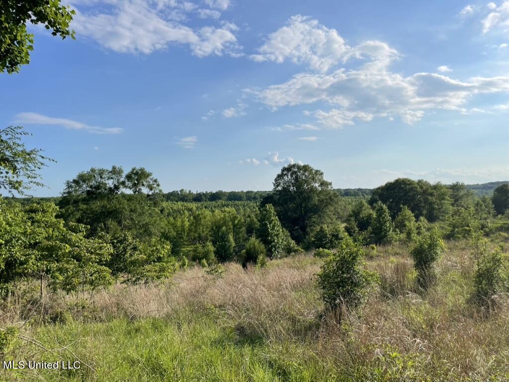 2 Dudley Road Vicksburg, MS 39180 - Photo 27 of 49 1C2F9F0F-B4C4-45E3-B3AE-48C8A42F1B62_1_1