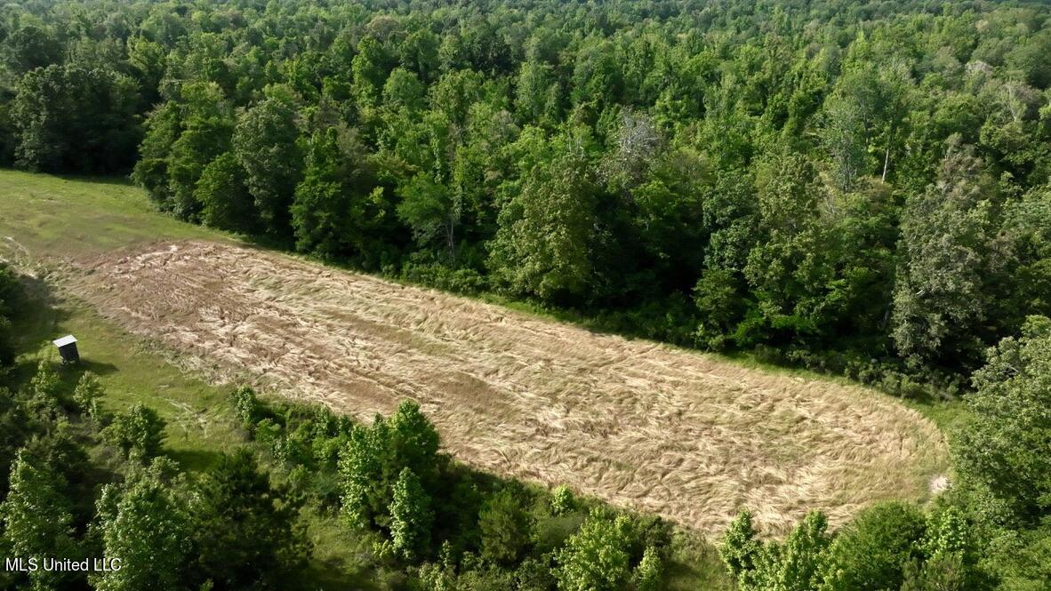 2 Dudley Road Vicksburg, MS 39180 - Photo 28 of 49 D528E4FB-308D-4BC0-9207-FC91FEDAF22D_1_1