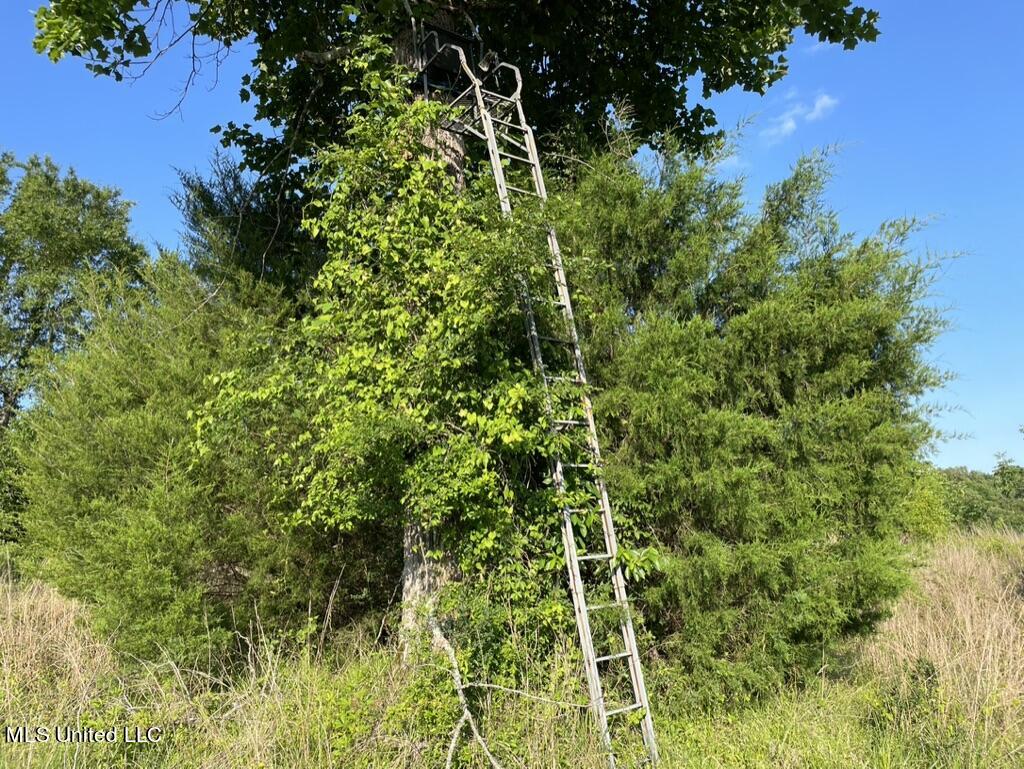 2 Dudley Road Vicksburg, MS 39180 - Photo 29 of 49 6899D701-C2C7-417E-A097-1B69B07874B7_1_1