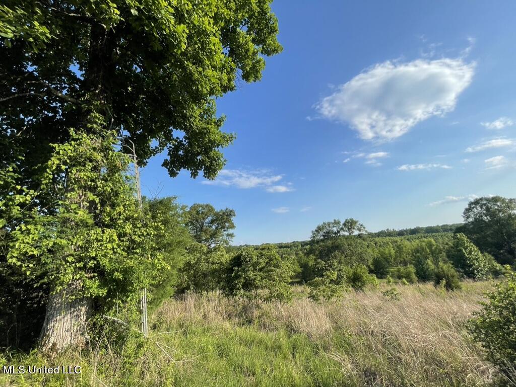 2 Dudley Road Vicksburg, MS 39180 - Photo 33 of 49 F090A295-0710-426E-8C99-BF809D529A17_1_1