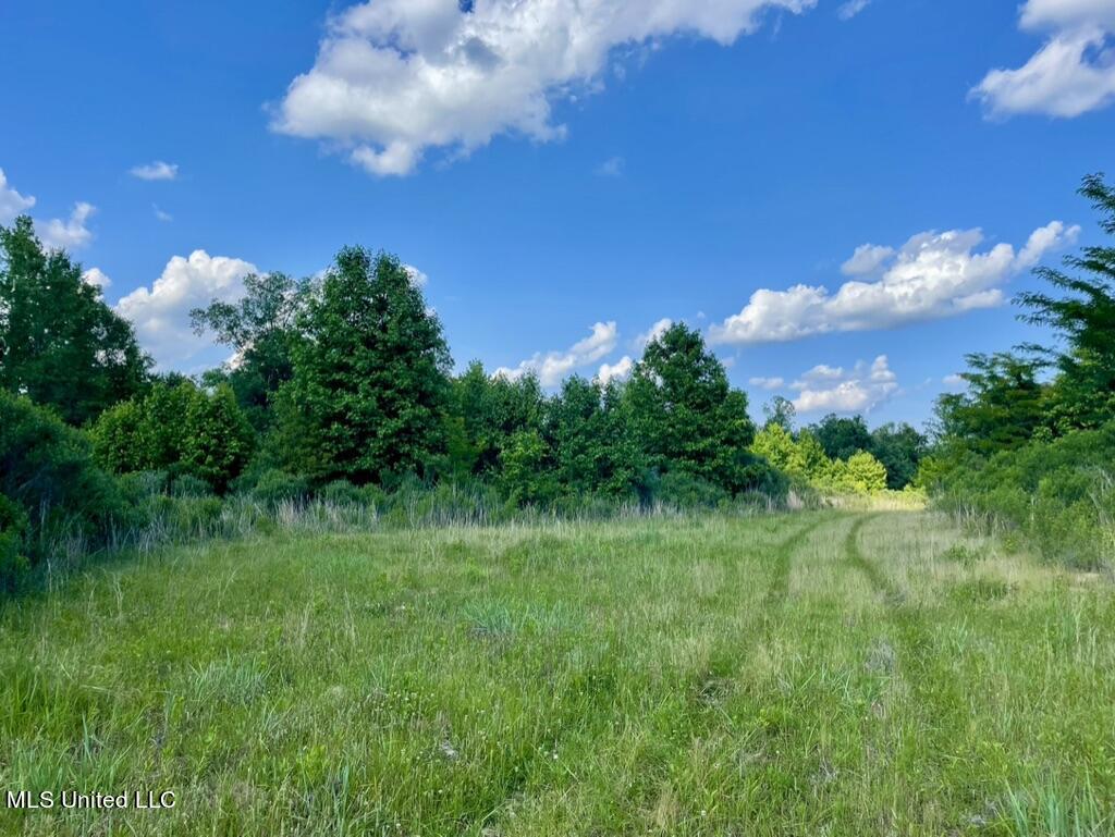 2 Dudley Road Vicksburg, MS 39180 - Photo 6 of 49 DD44D048-1962-4CD2-8FFF-E812610094D3_1_1