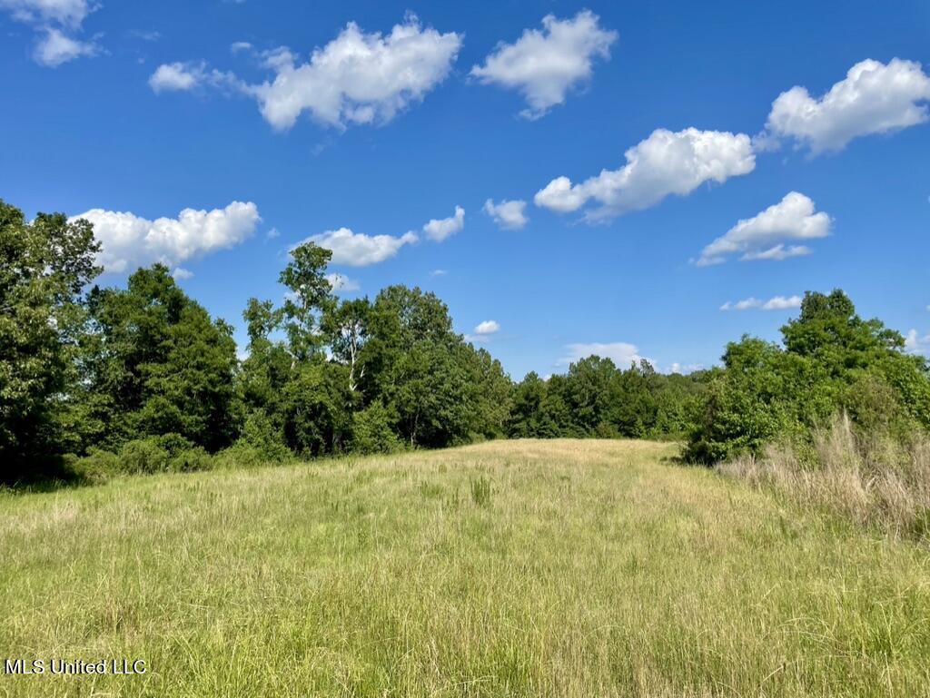 2 Dudley Road Vicksburg, MS 39180 - Photo 10 of 49 361535CF-C431-4D4D-A8F1-FF4E643F2671_1_1