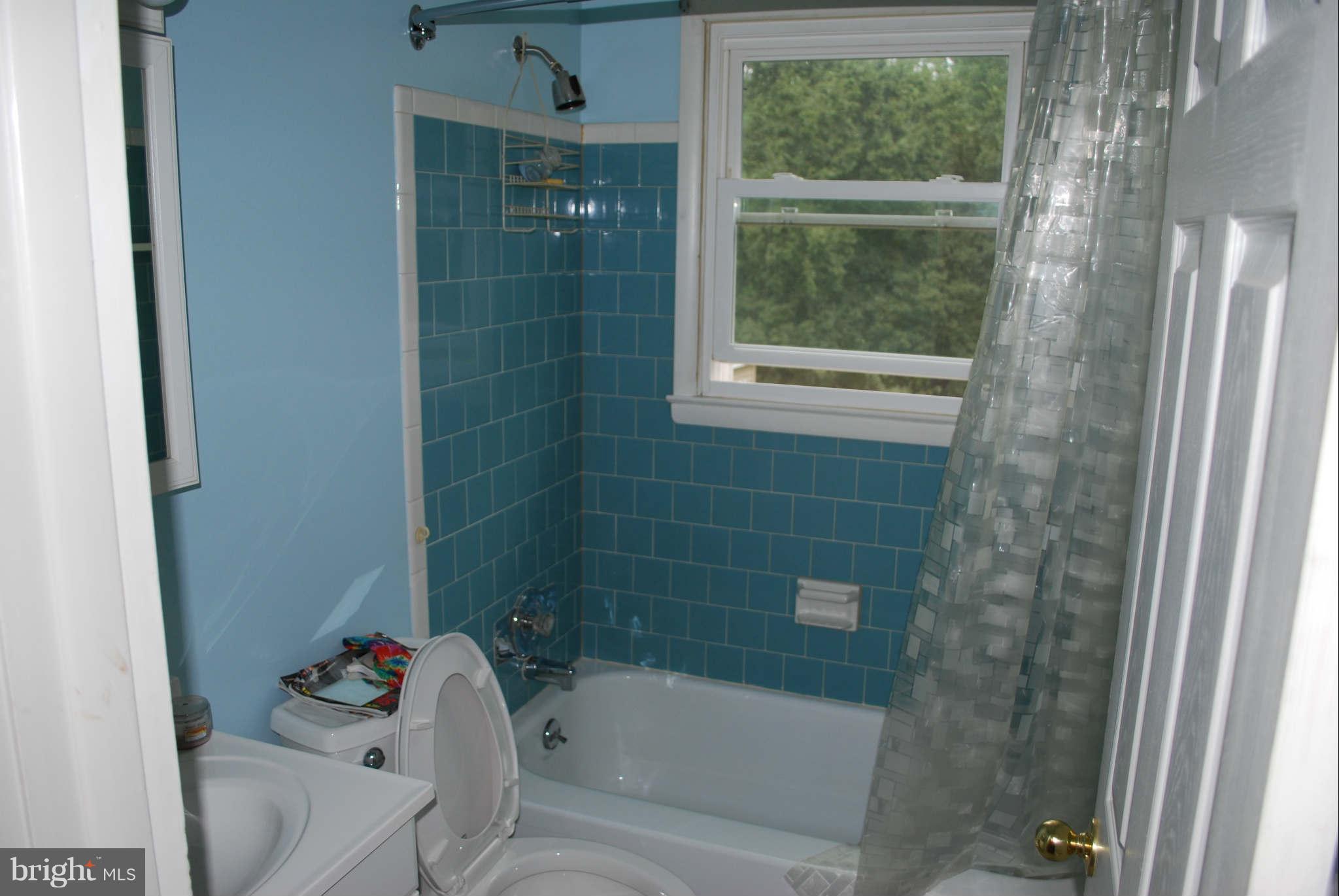 4912 Roller Road Manchester, MD 21102 - Photo 11 of 20 Bath (Master)