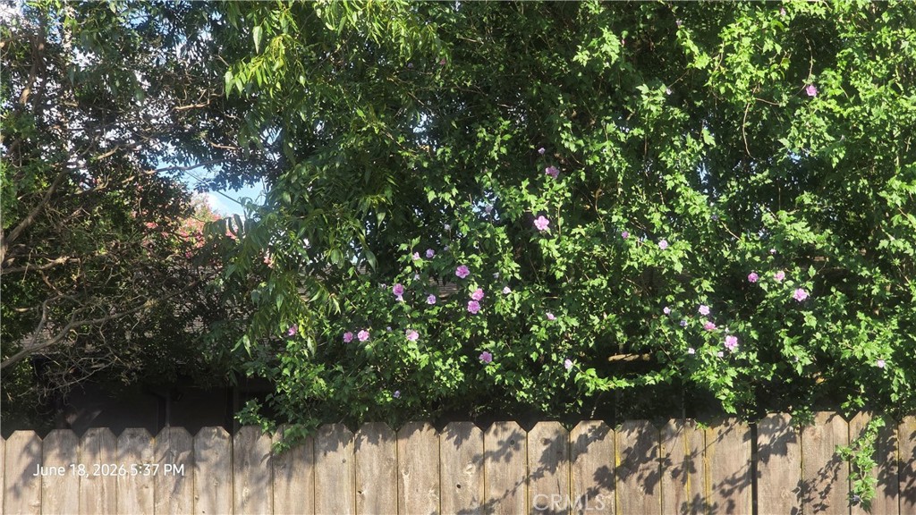 39 Franciscan Way Chico, CA 95973 - Photo 32 of 37 Flowering greenery adds to privacy fencing!