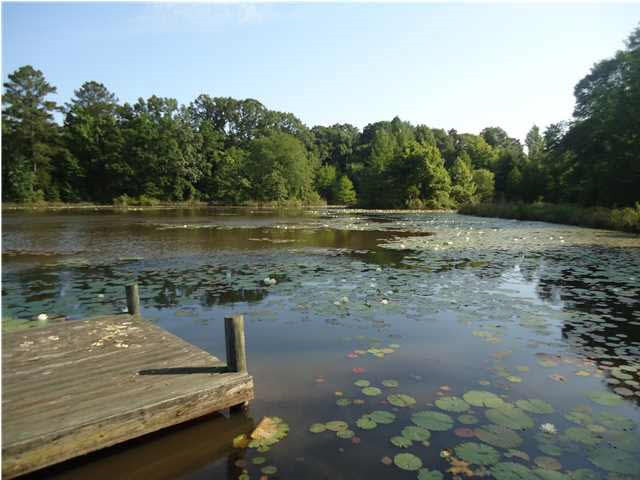 1075 Davis Crossing Road Canton, MS 39046 - Photo 33 of 33 Photo 35