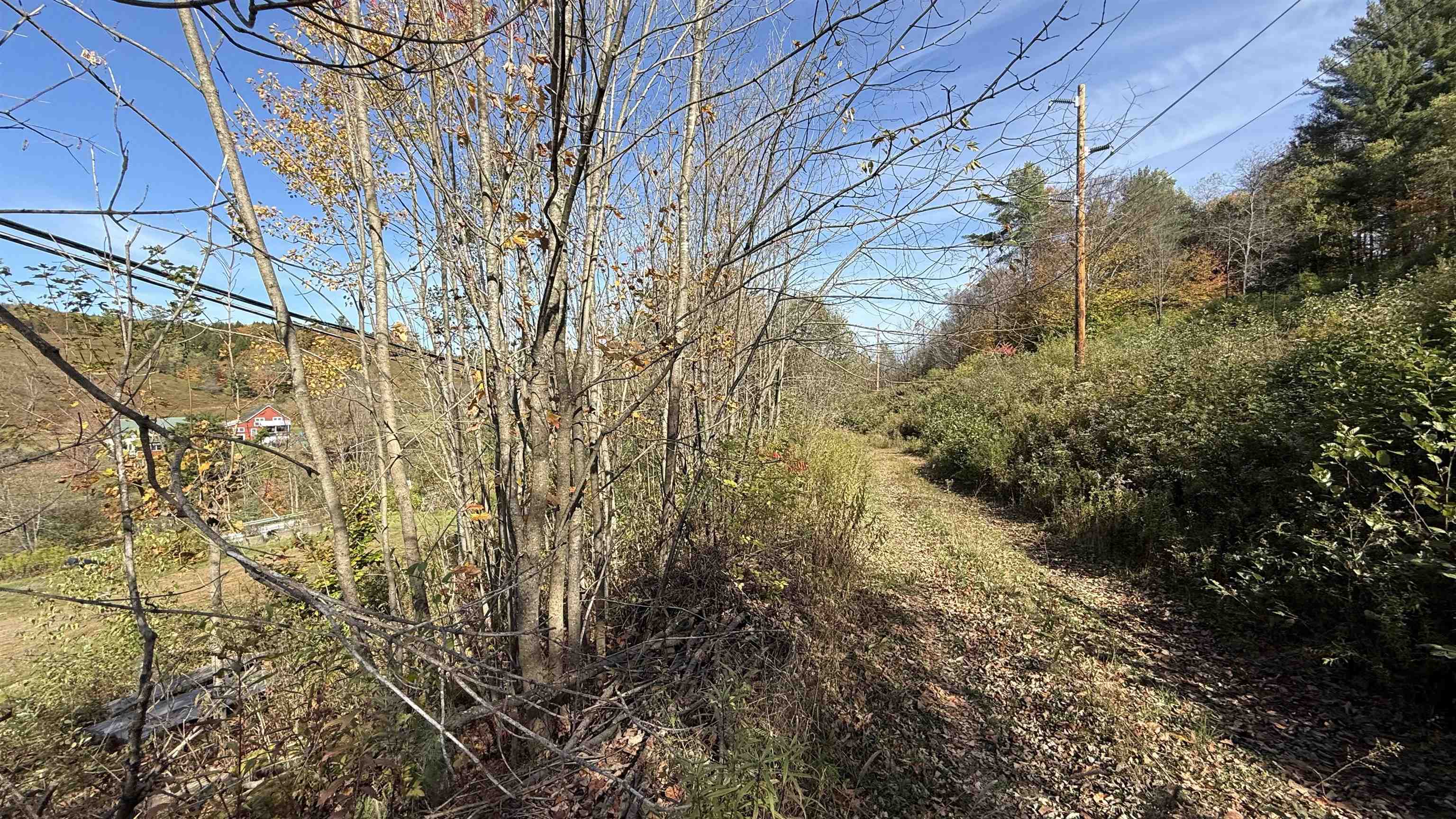 0 Vt Route Johnson, VT 05656 - Photo 14 of 60