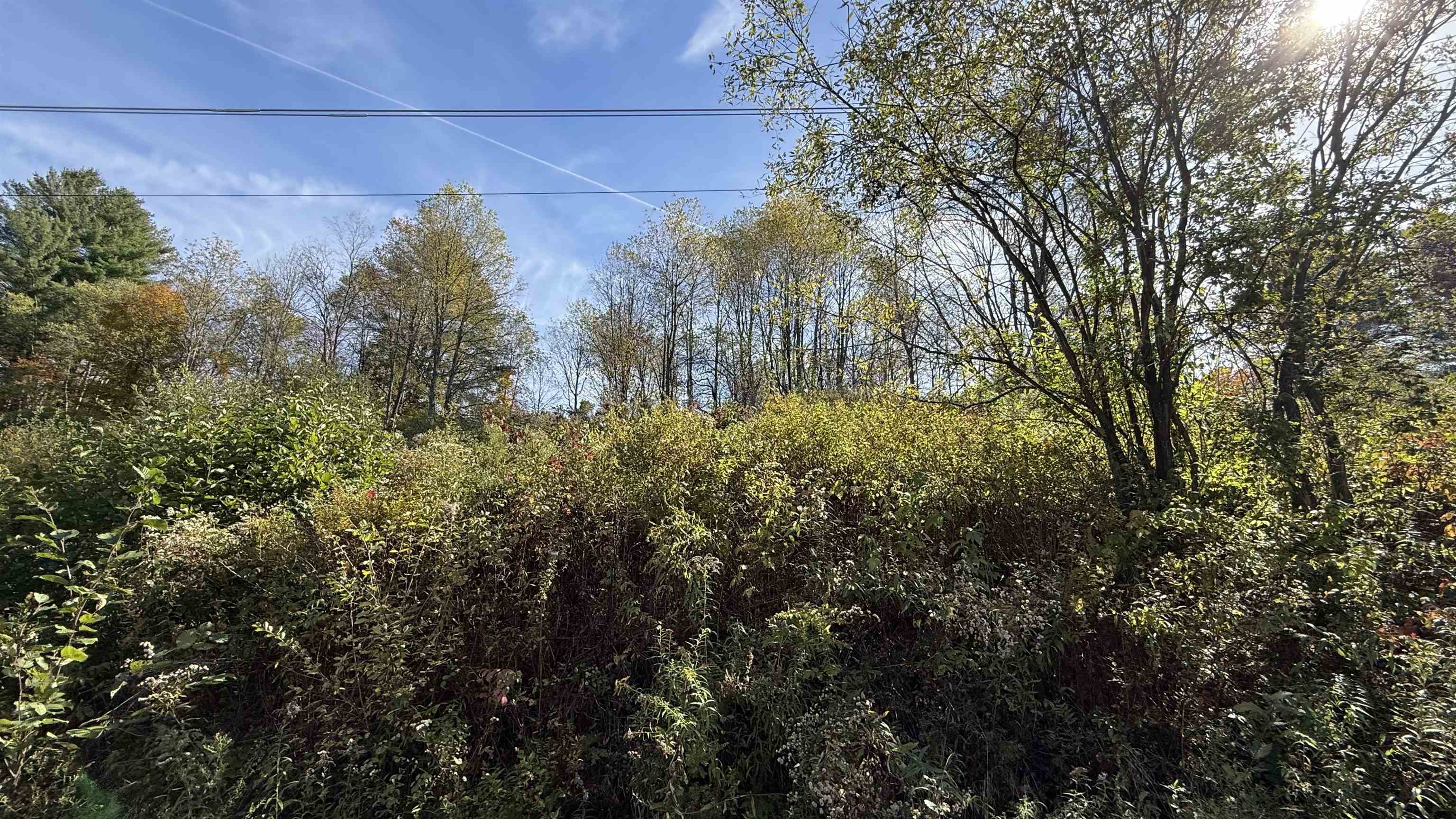 0 Vt Route Johnson, VT 05656 - Photo 17 of 60