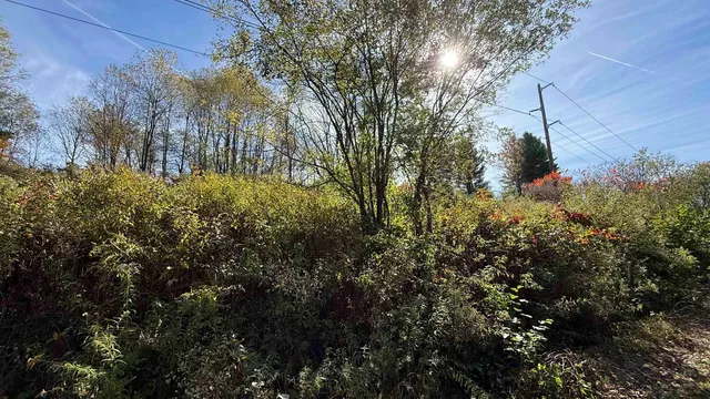 $40,000 | 0 Vt Route, Johnson, VT 05656