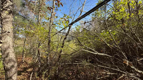 $32,000 | 0 Vt Route, Johnson, VT 05656