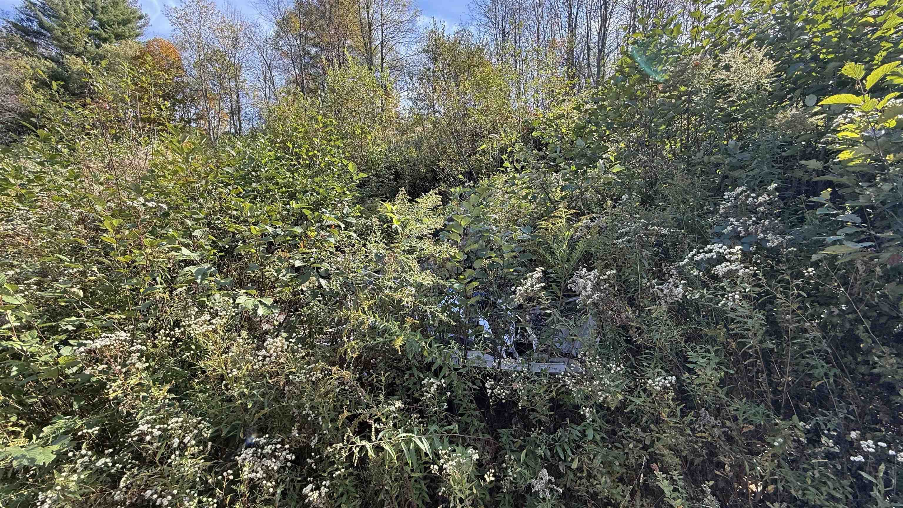 0 Vt Route Johnson, VT 05656 - Photo 21 of 60