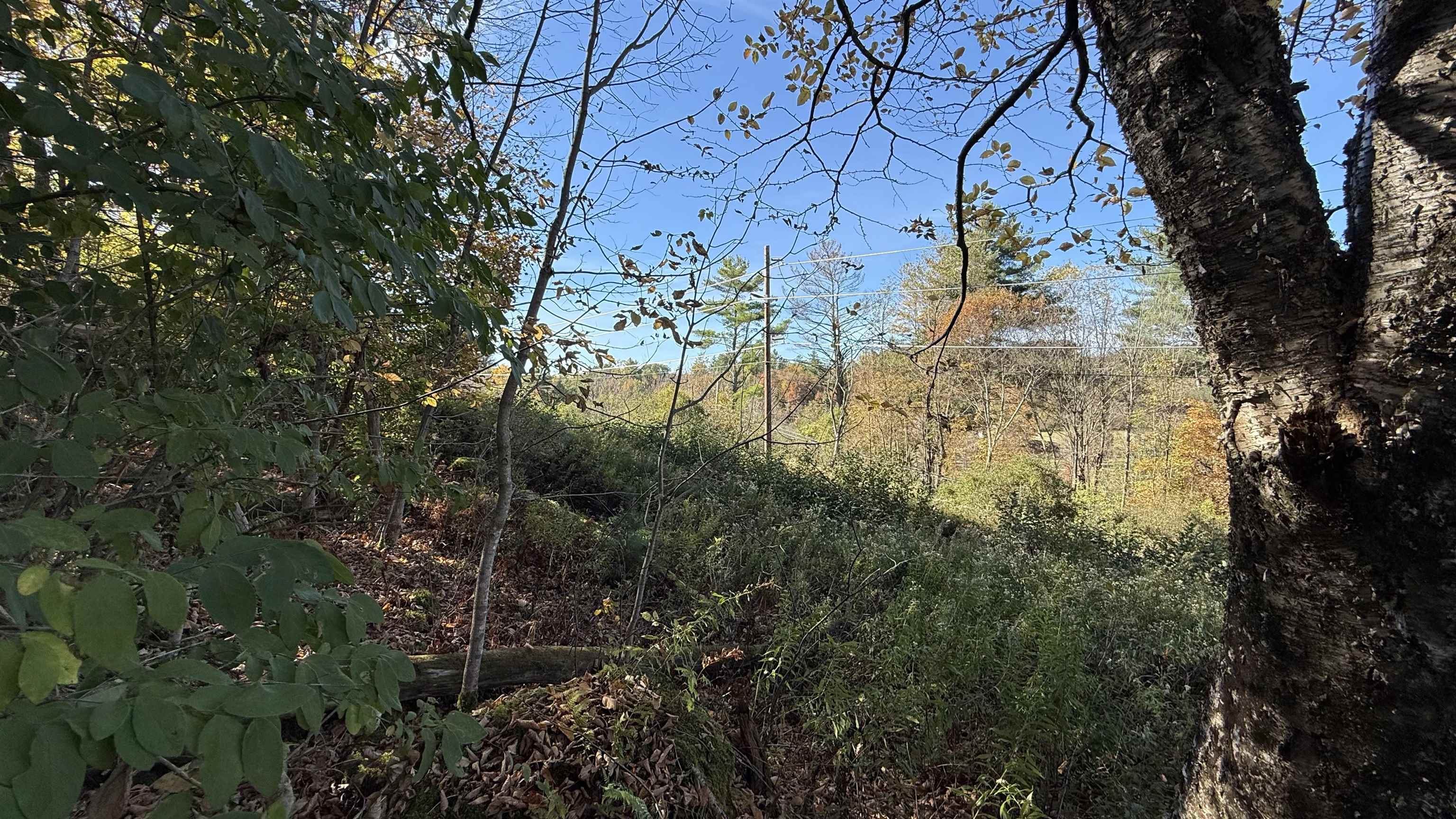 0 Vt Route Johnson, VT 05656 - Photo 26 of 60