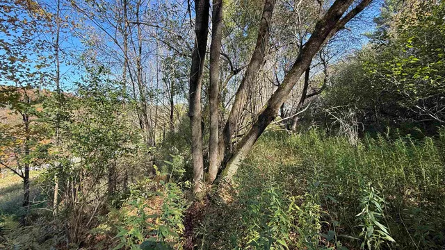 $40,000 | 0 Vt Route, Johnson, VT 05656