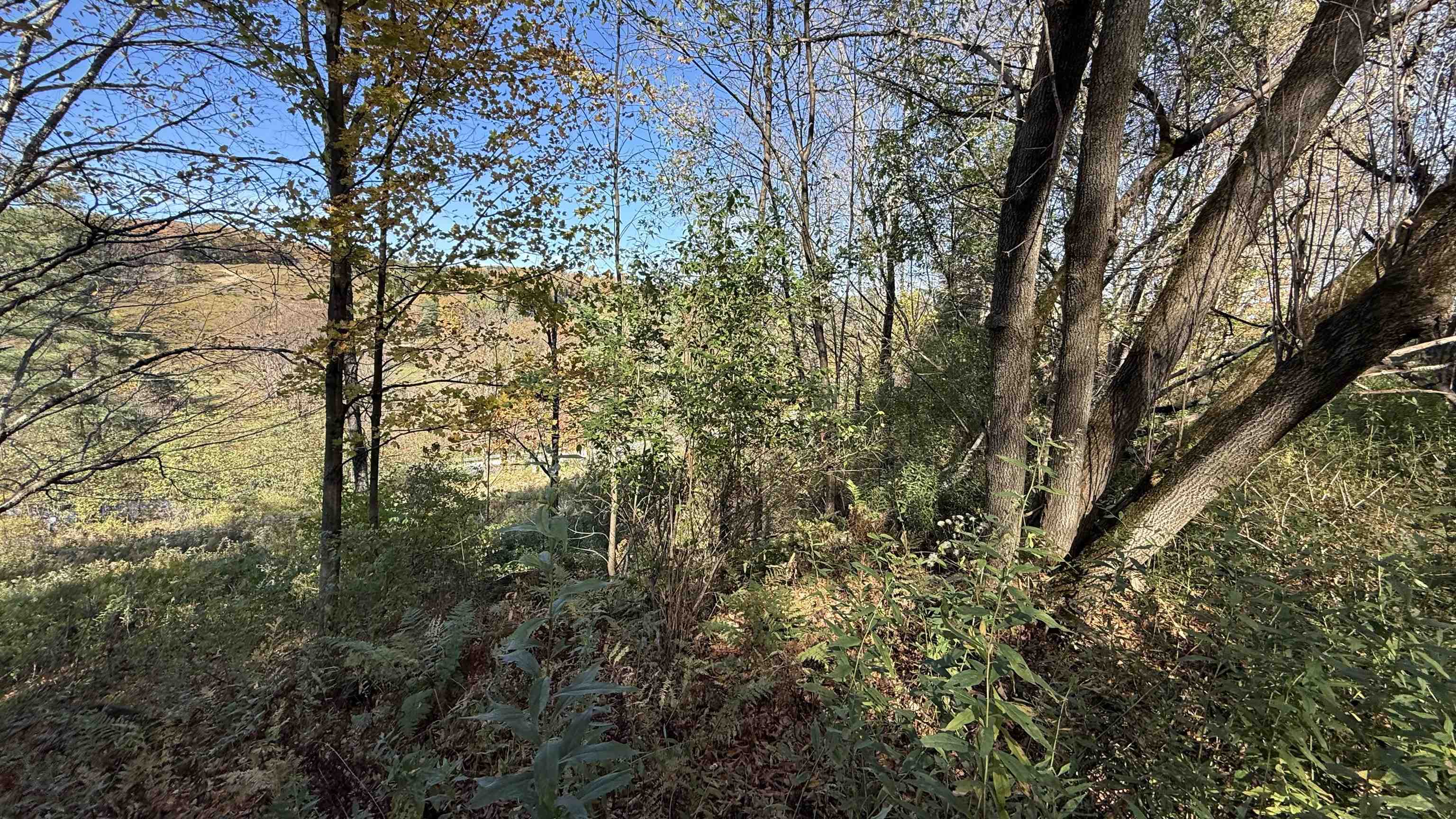 0 Vt Route Johnson, VT 05656 - Photo 28 of 60