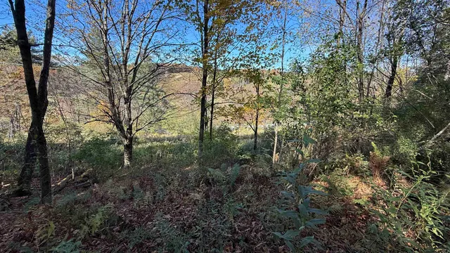 $40,000 | 0 Vt Route, Johnson, VT 05656