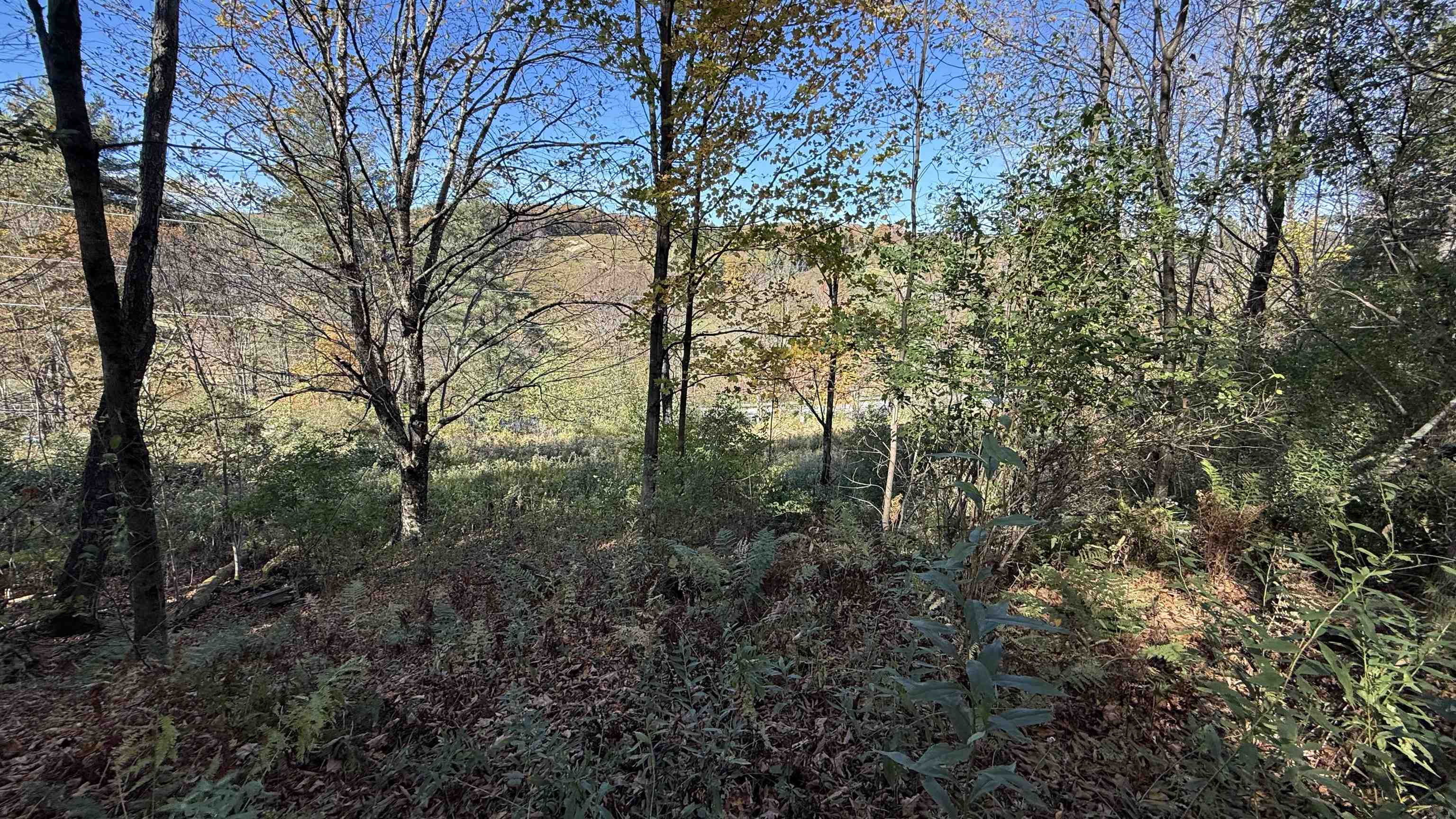 0 Vt Route Johnson, VT 05656 - Photo 29 of 60