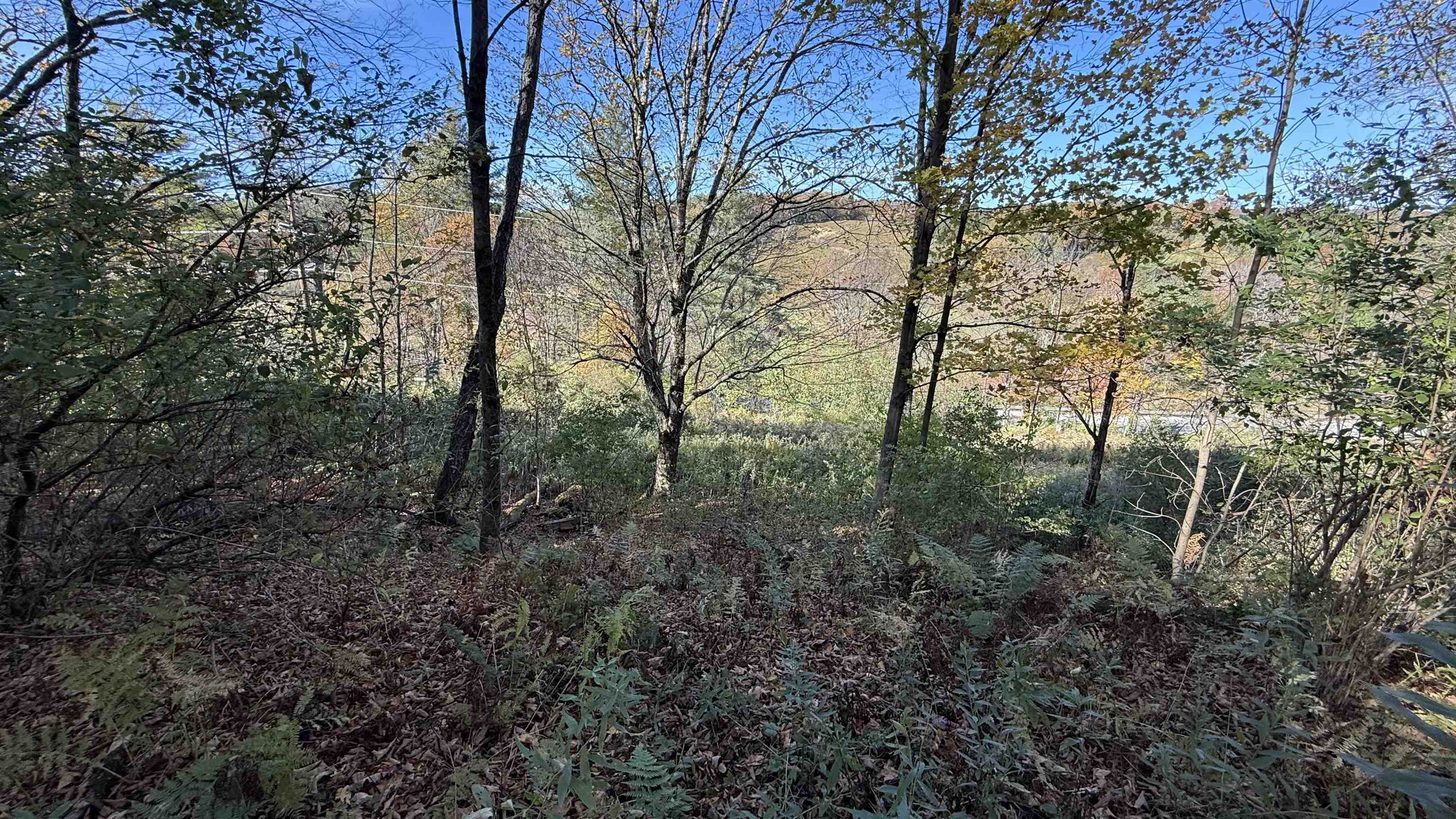 0 Vt Route Johnson, VT 05656 - Photo 30 of 60