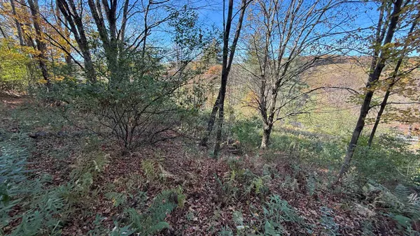 $32,000 | 0 Vt Route, Johnson, VT 05656