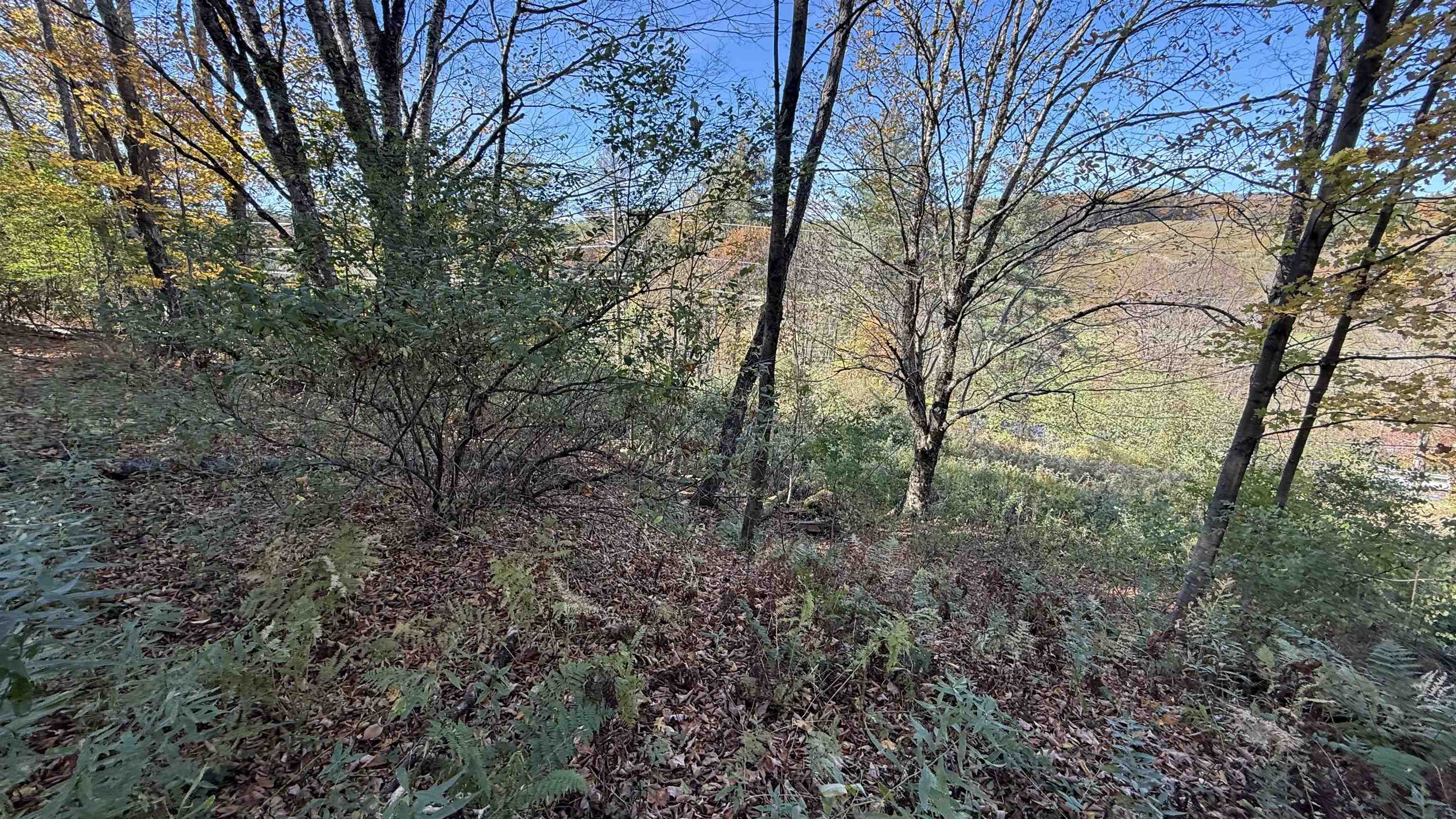 0 Vt Route Johnson, VT 05656 - Photo 31 of 60