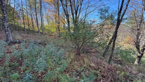 $32,000 | 0 Vt Route, Johnson, VT 05656