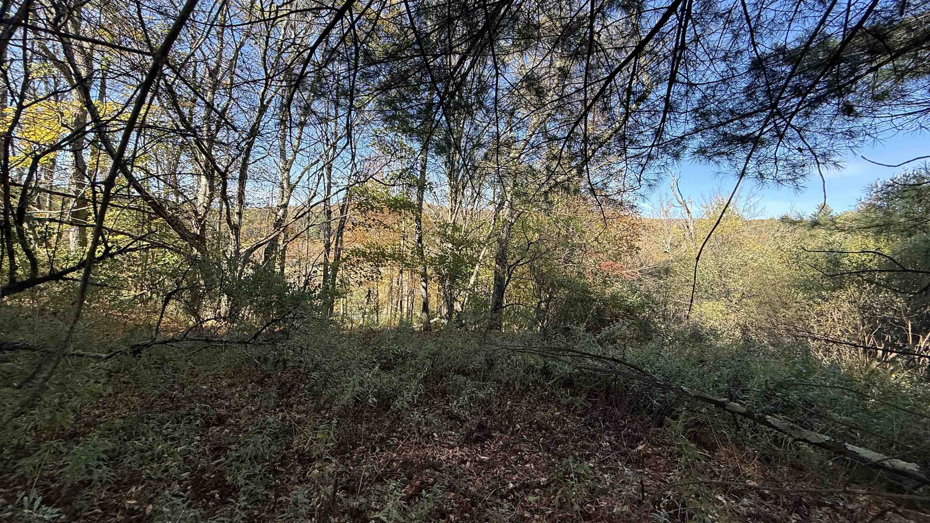 0 Vt Route Johnson, VT 05656 - Photo 35 of 60