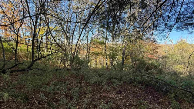 $40,000 | 0 Vt Route, Johnson, VT 05656