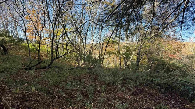 $40,000 | 0 Vt Route, Johnson, VT 05656