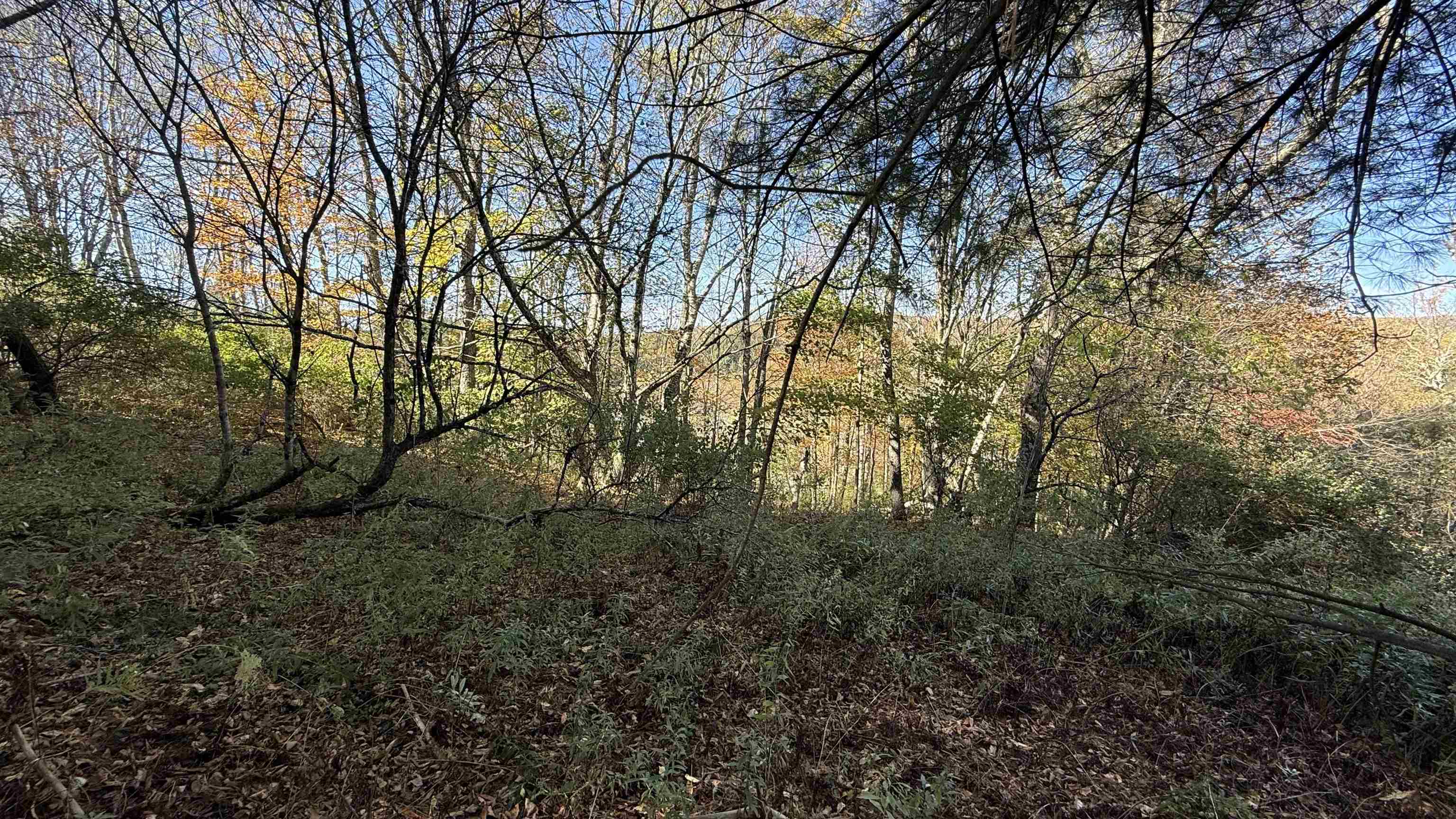 0 Vt Route Johnson, VT 05656 - Photo 37 of 60