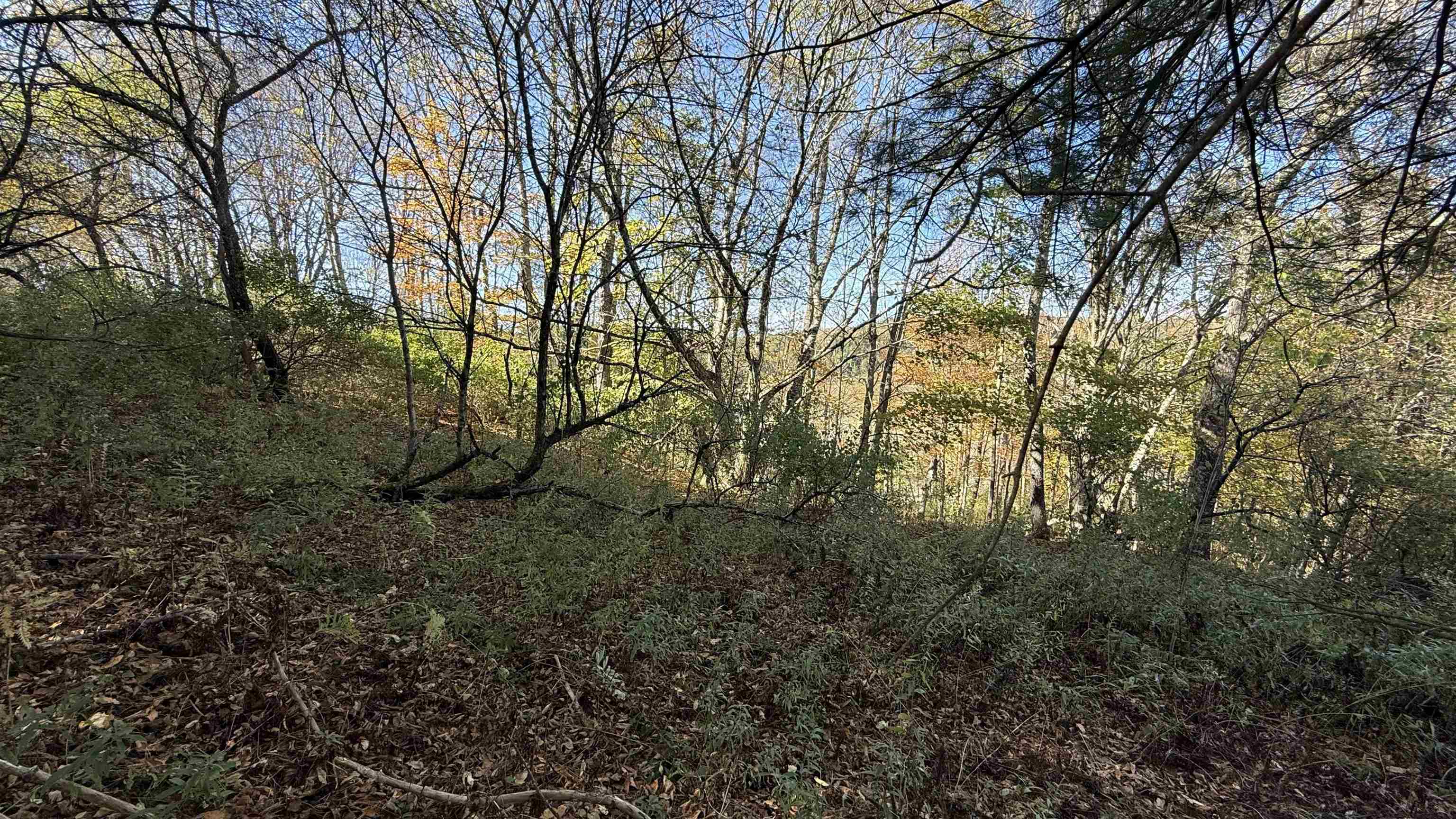 0 Vt Route Johnson, VT 05656 - Photo 38 of 60