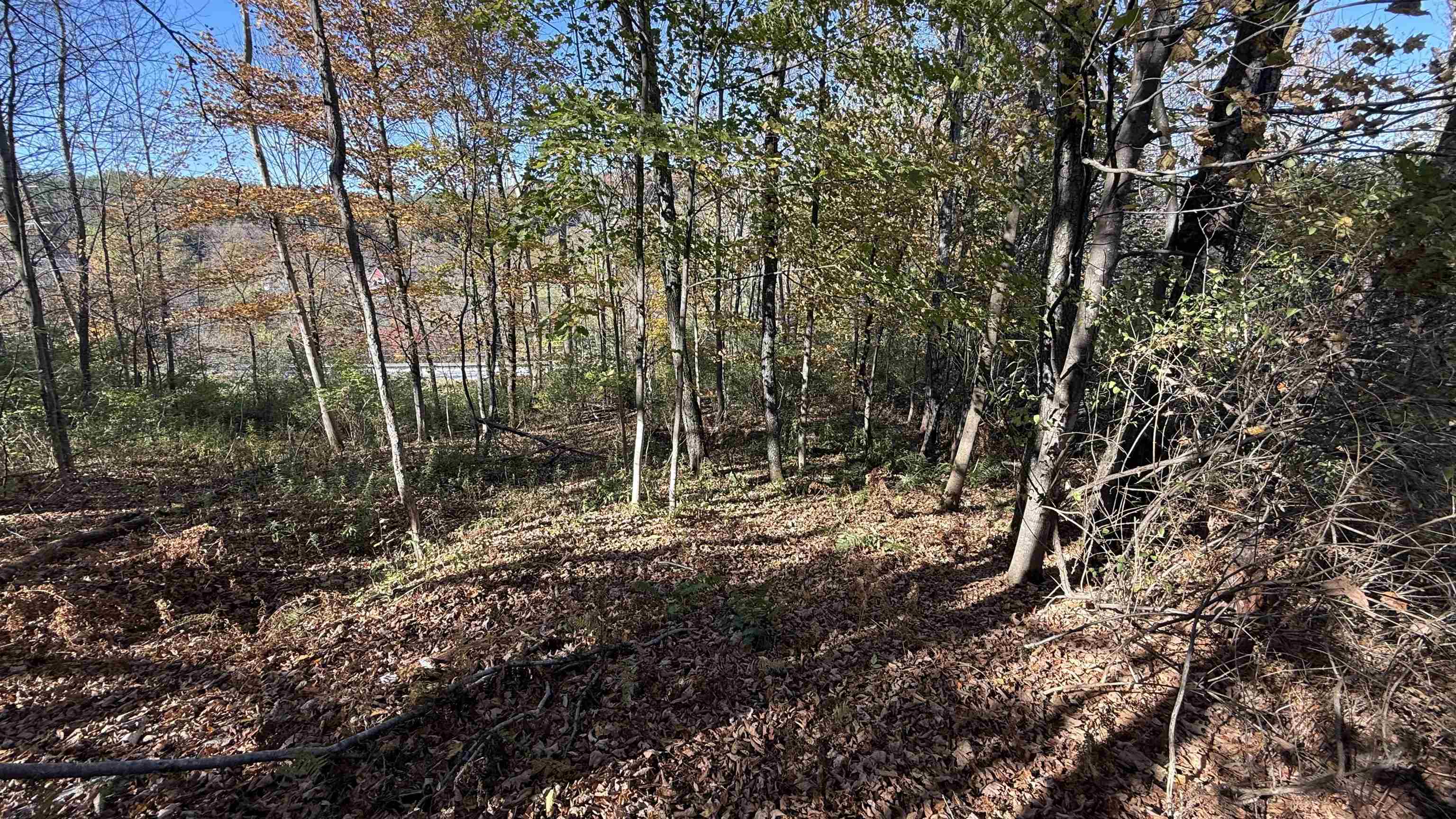 0 Vt Route Johnson, VT 05656 - Photo 39 of 60