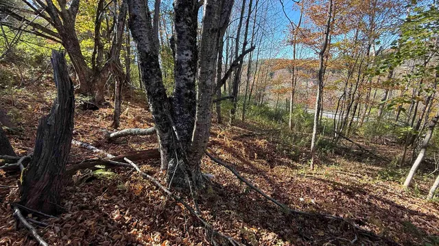$40,000 | 0 Vt Route, Johnson, VT 05656