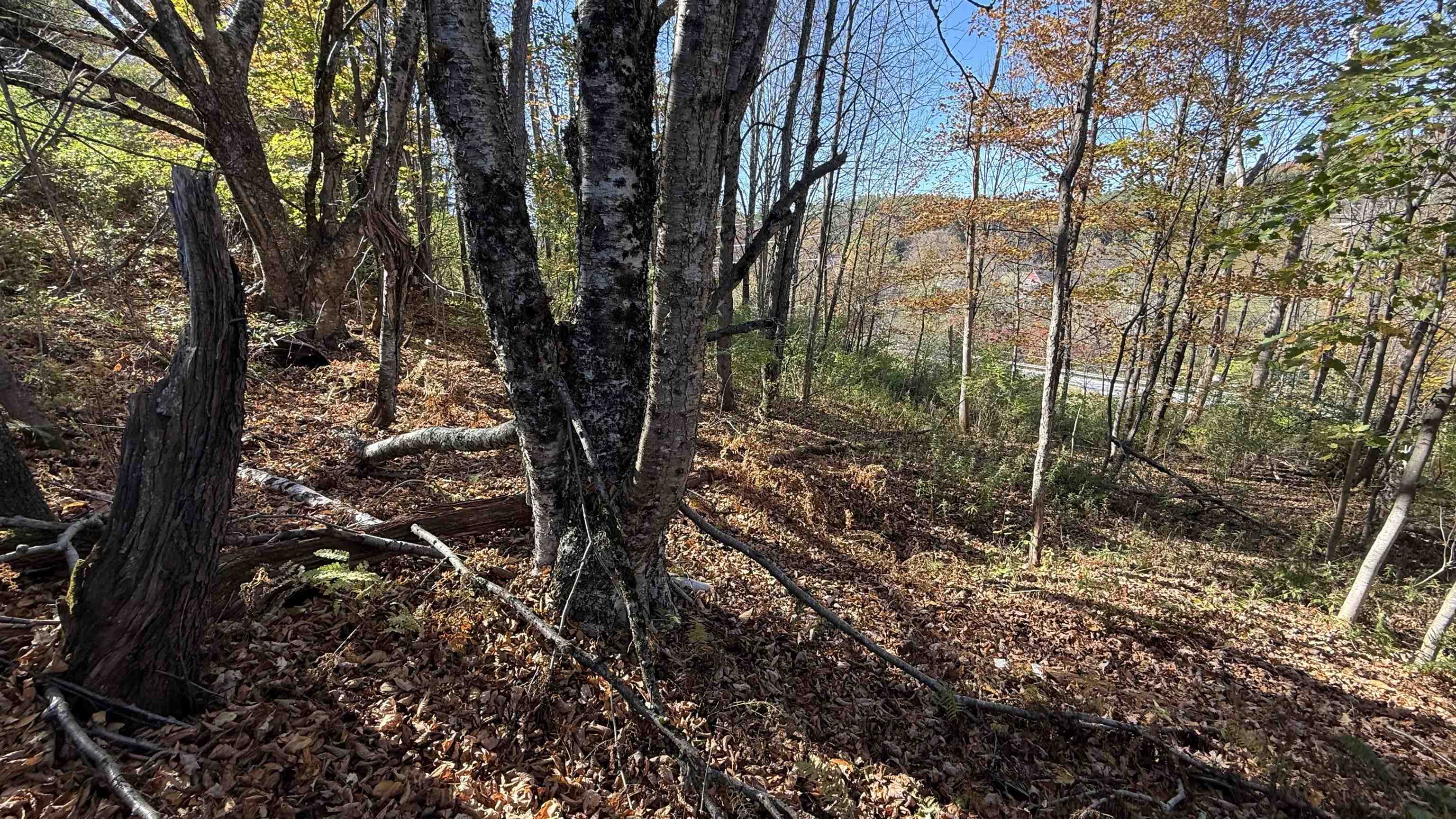 0 Vt Route Johnson, VT 05656 - Photo 41 of 60