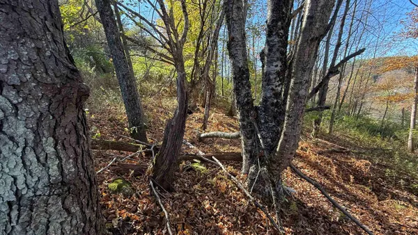 $32,000 | 0 Vt Route, Johnson, VT 05656