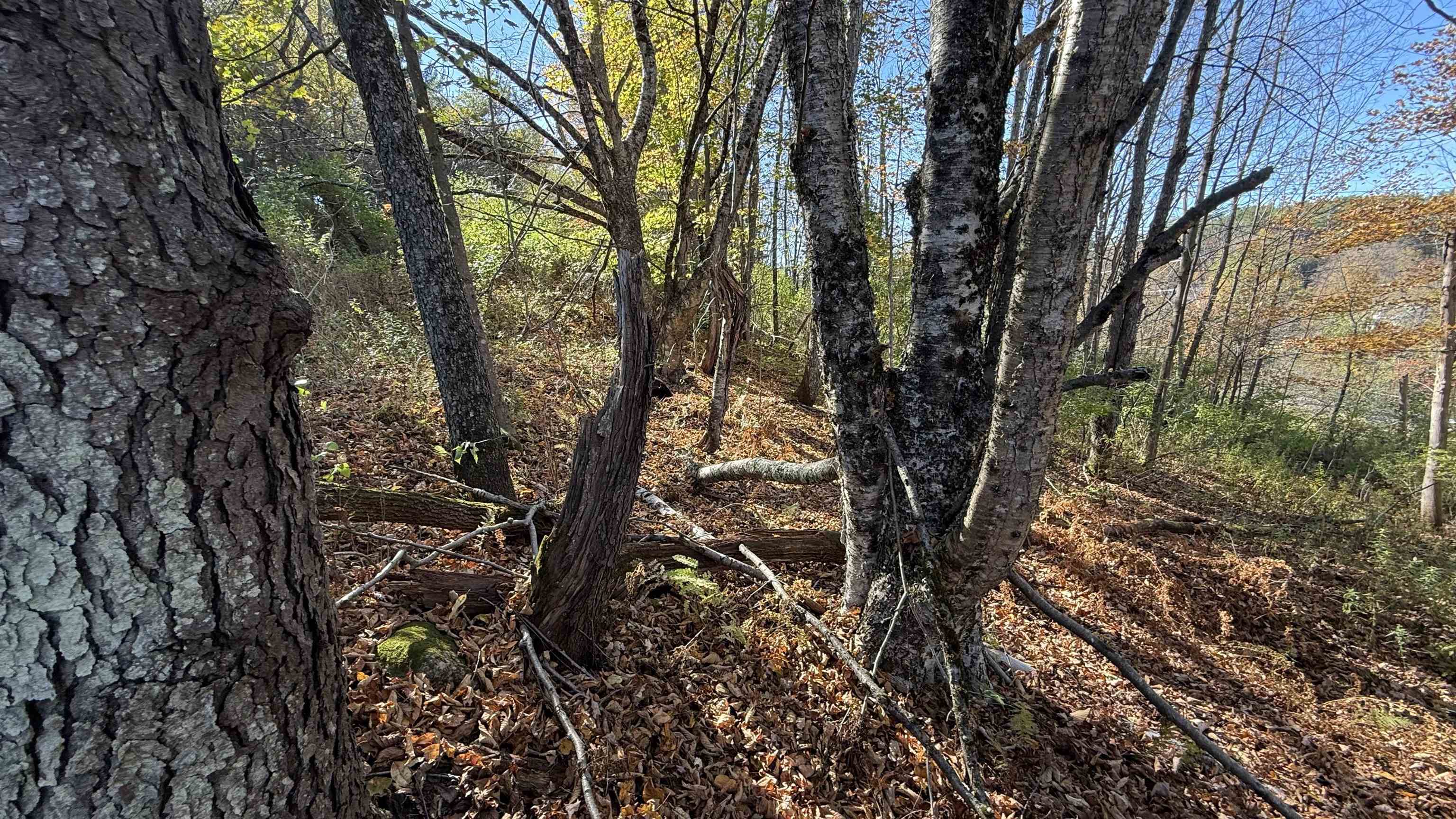 0 Vt Route Johnson, VT 05656 - Photo 42 of 60