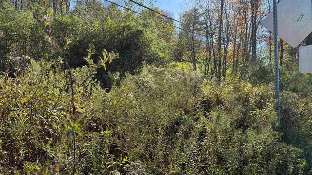 $40,000 | 0 Vt Route, Johnson, VT 05656