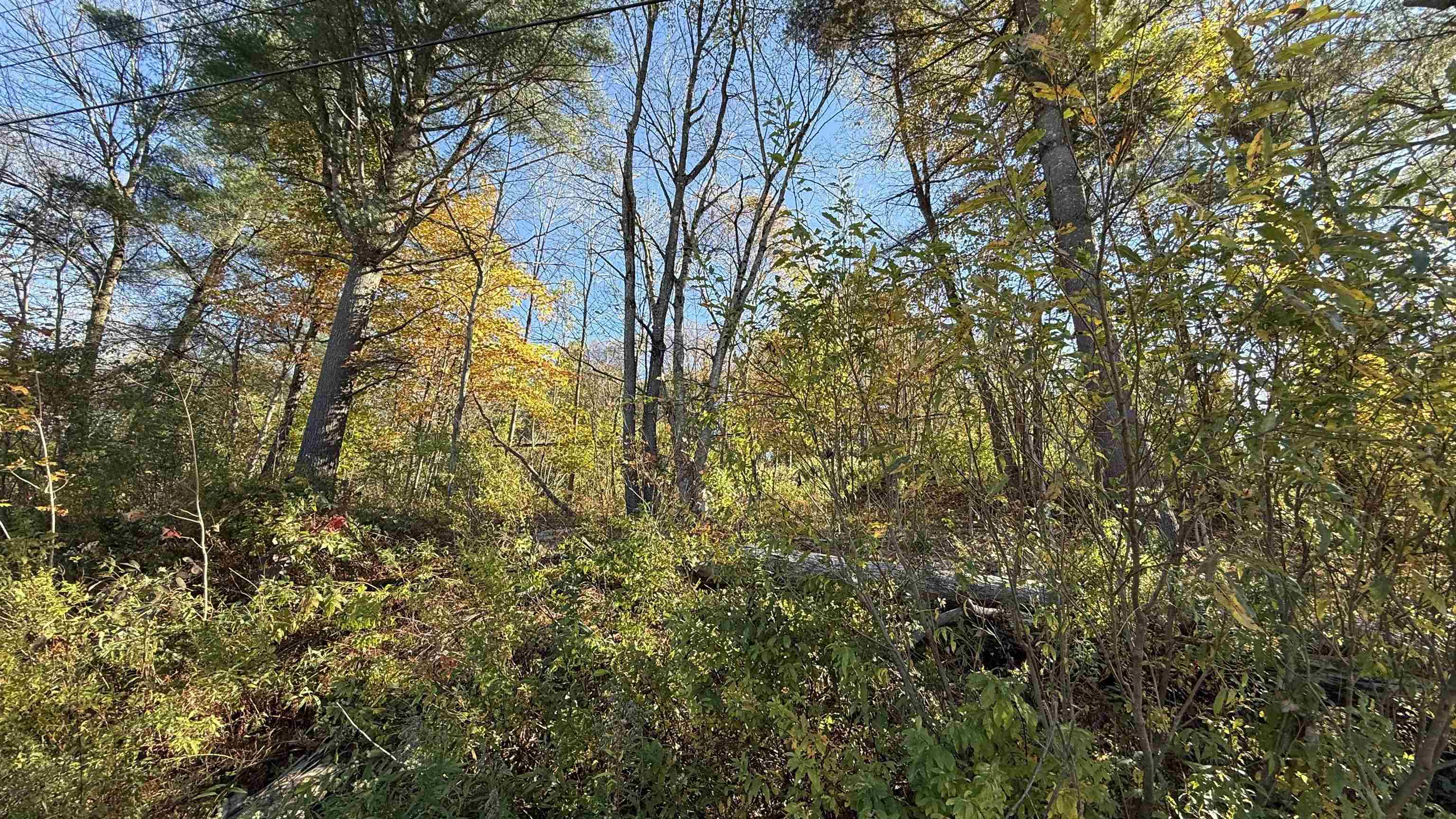 0 Vt Route Johnson, VT 05656 - Photo 55 of 60