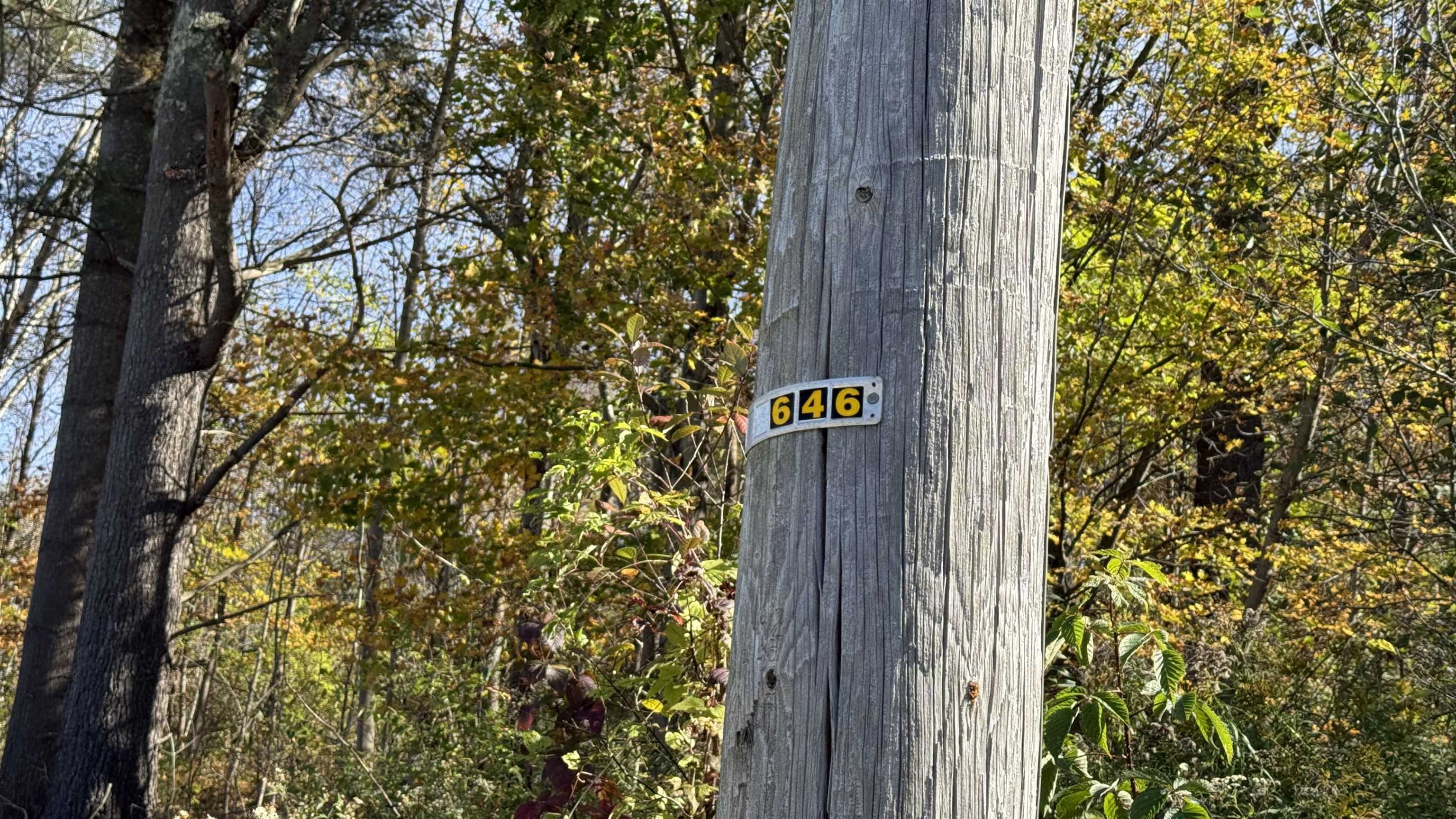 0 Vt Route Johnson, VT 05656 - Photo 57 of 60