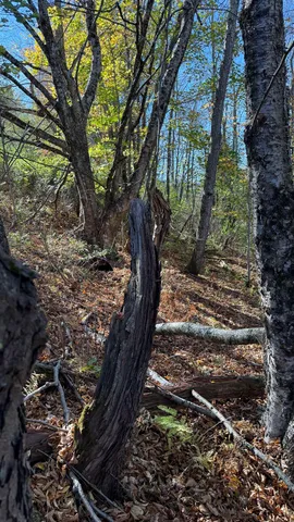 $40,000 | 0 Vt Route, Johnson, VT 05656