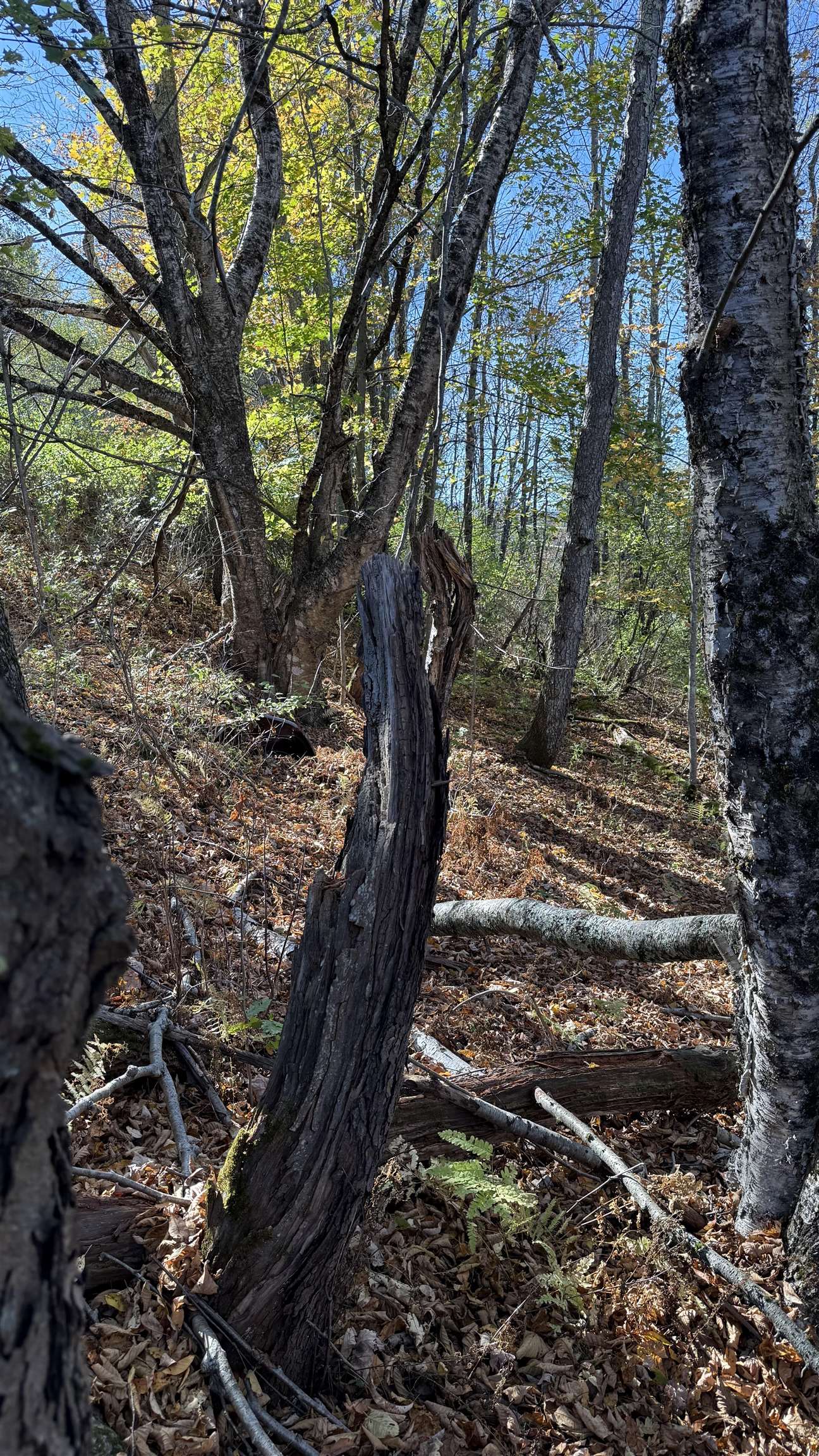 0 Vt Route Johnson, VT 05656 - Photo 58 of 60