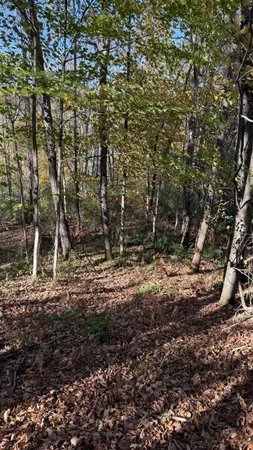 $32,000 | 0 Vt Route, Johnson, VT 05656