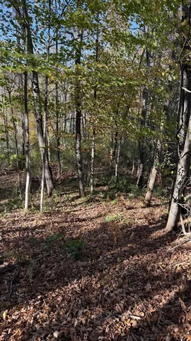 $40,000 | 0 Vt Route, Johnson, VT 05656