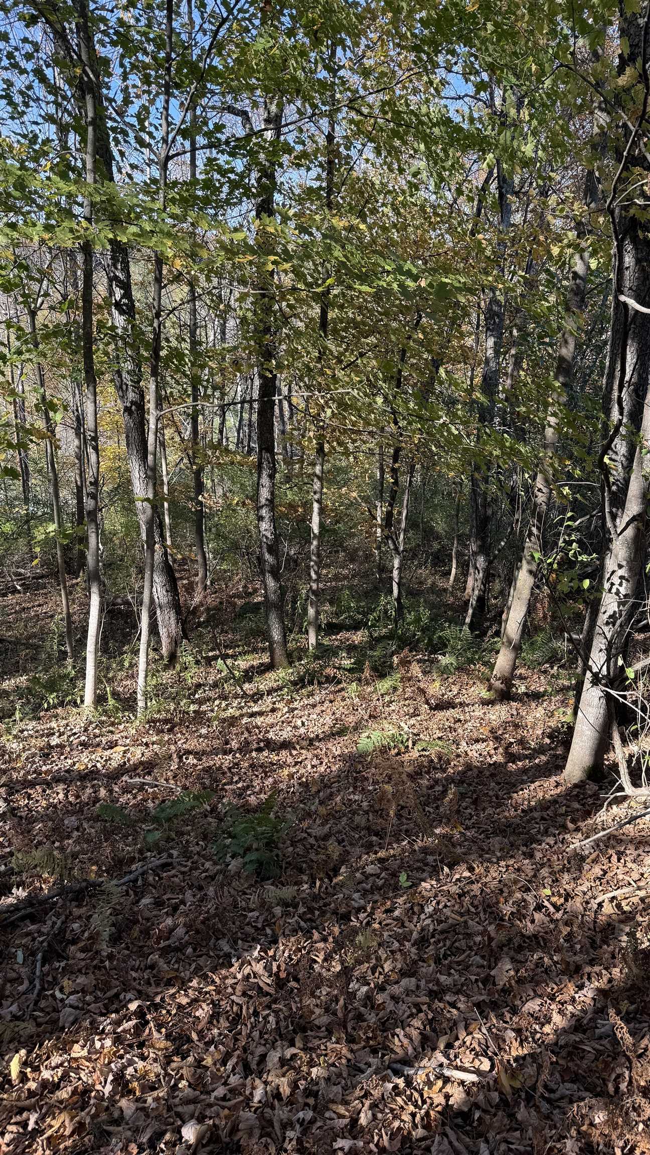 0 Vt Route Johnson, VT 05656 - Photo 59 of 60