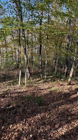 $40,000 | 0 Vt Route, Johnson, VT 05656