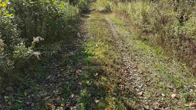 $40,000 | 0 Vt Route, Johnson, VT 05656