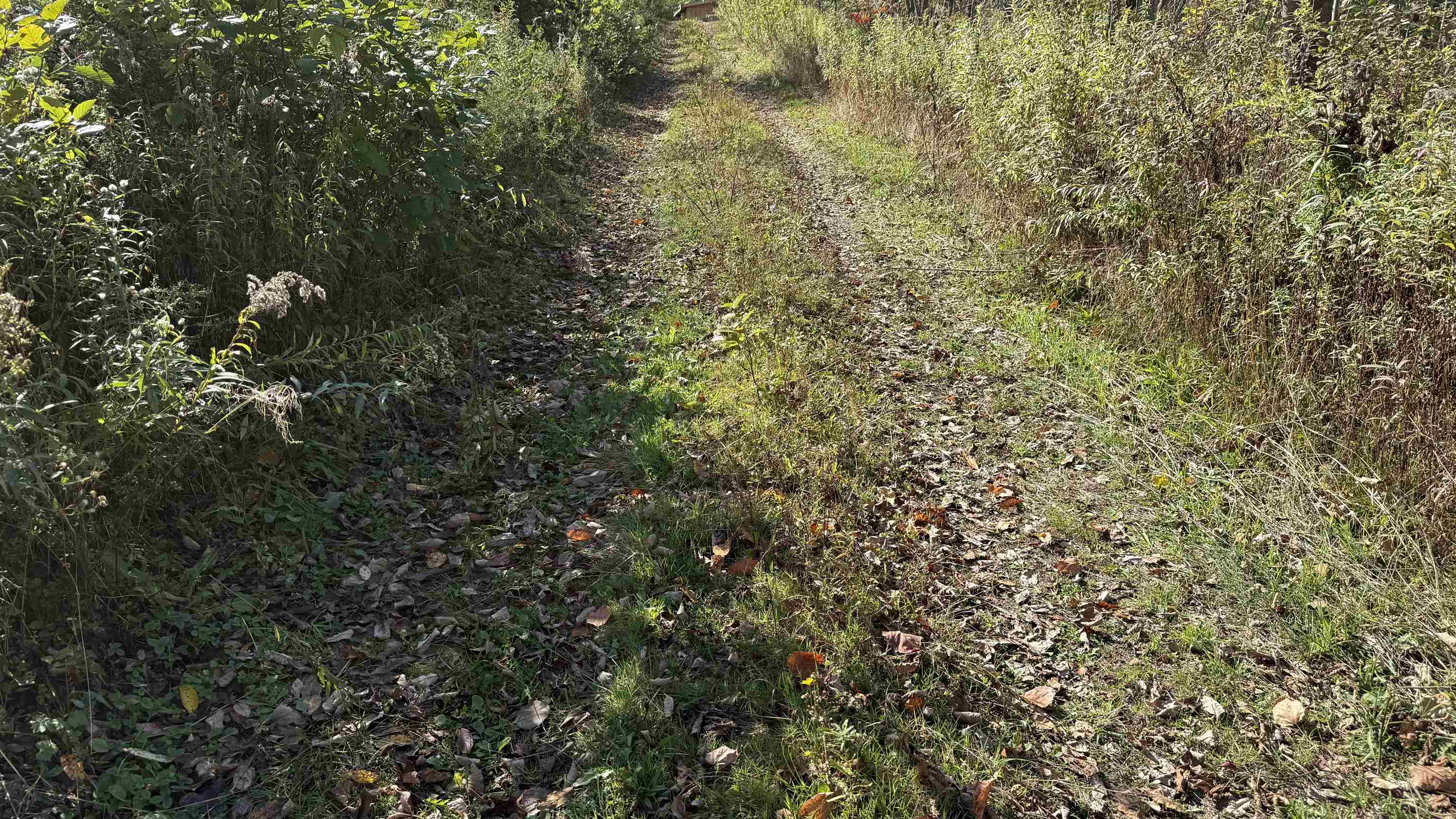 0 Vt Route Johnson, VT 05656 - Photo 6 of 60