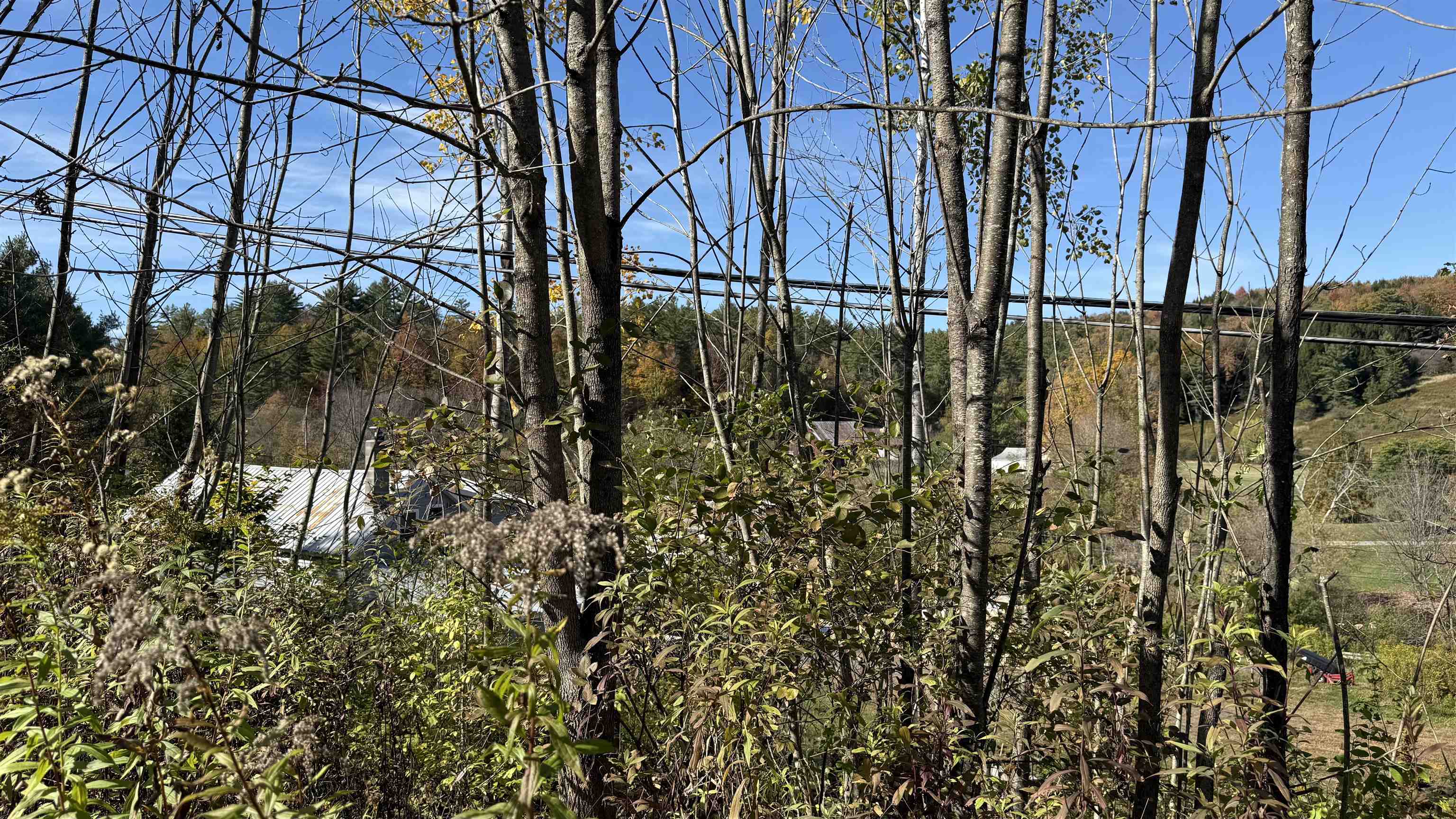 0 Vt Route Johnson, VT 05656 - Photo 7 of 60