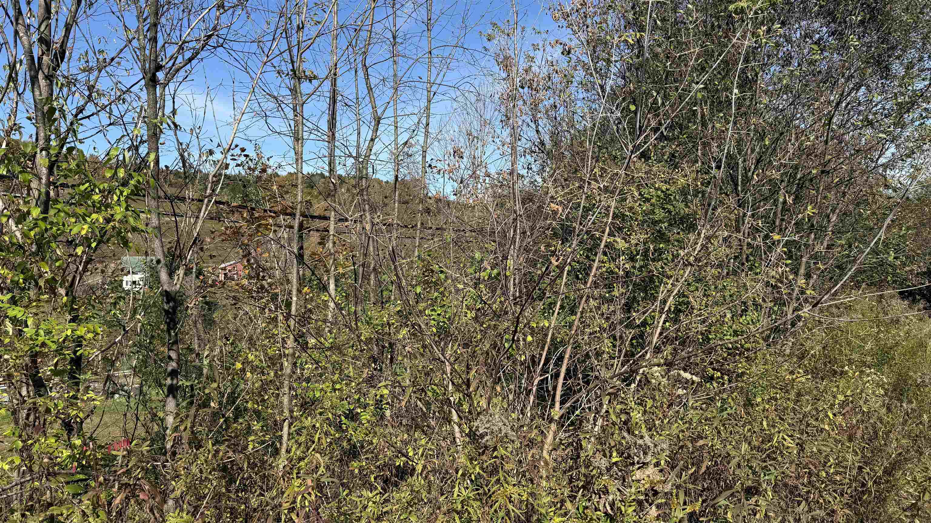 0 Vt Route Johnson, VT 05656 - Photo 9 of 60