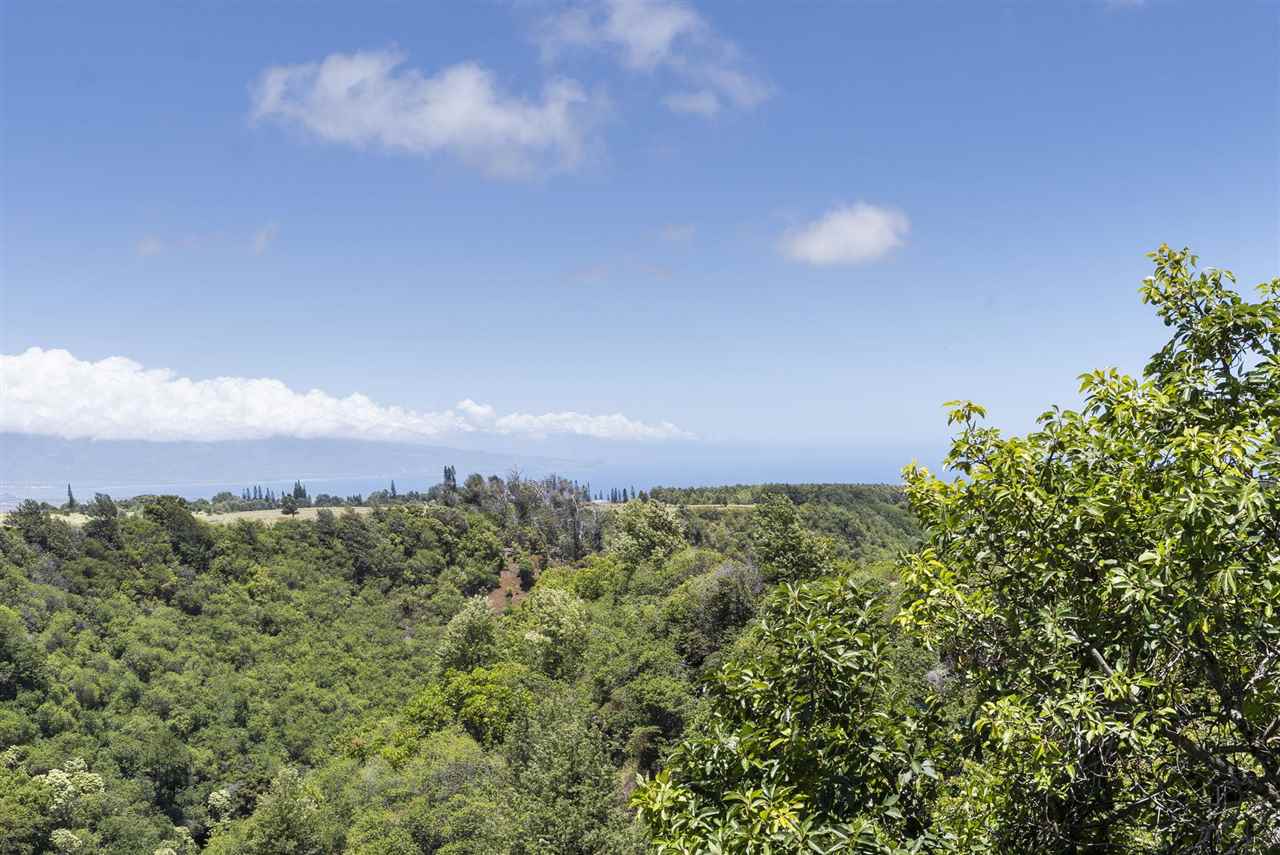 2560 Kokomo Road Haiku, HI 96708 - Photo 27 of 30 a view of a green field