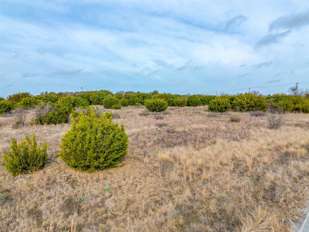 20 South Service Road Aledo, TX 76008 - Photo 11 of 16 a view of a lake in middle of forest