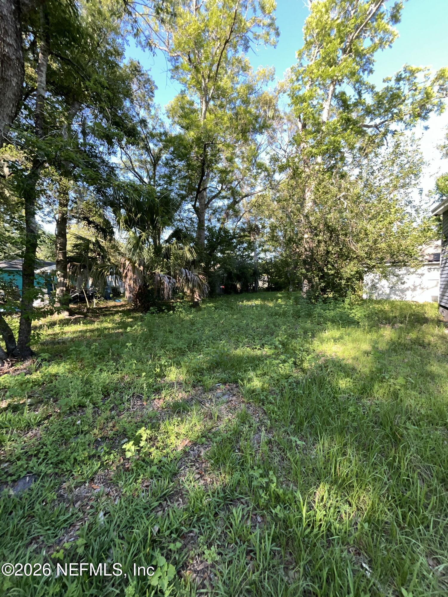 2017 Talladega Road Jacksonville, FL 32209 - Photo 6 of 34 a view of a trees with a yard
