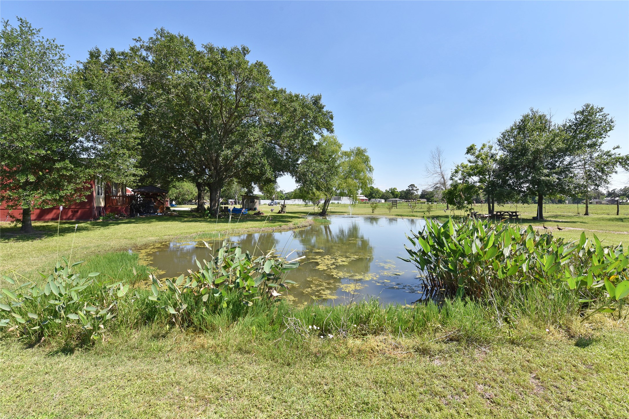3221 Pecha Lane Rosenberg, TX 77471 - Photo 41 of 46 a view of a lake with a big yard